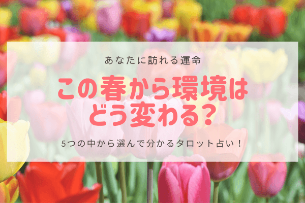 【あなたに訪れる運命】この春から環境はどう変わる？タロット占いーピンク