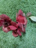 心理テストライターみそ