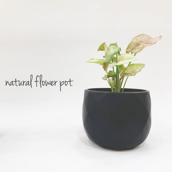 え、本当に100均なの！？【ダイソー】高見えインテリアまとめ