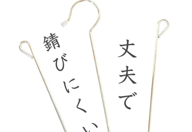 これ超イイね！【セリア】コンパクト＆便利な「神ハンガー」3選