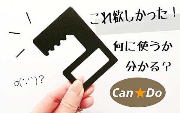 これなーんだ！？【100均】で見つけたオシャレな便利アイテム3選