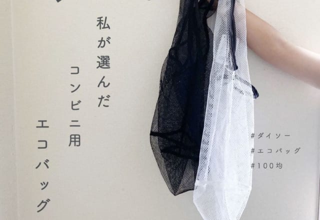 袋が有料化した今こそ!【100均】の「エコバッグ」3選