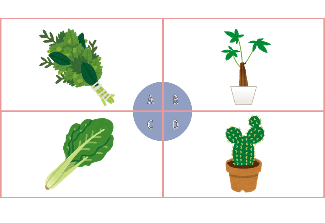 【恋愛心理テスト】植物を育てるなら…？