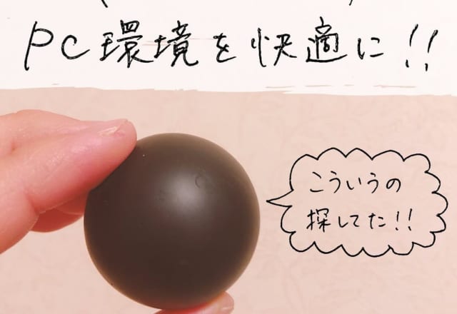 「そうこれ、こういうの欲しかった！」【ダイソー】即買い必至の新商品とは