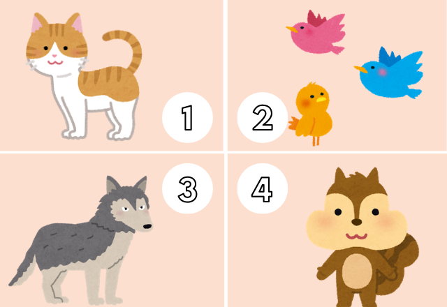 直感で選んで！【恋愛心理テスト】動物から分かるあなたの「執着度」