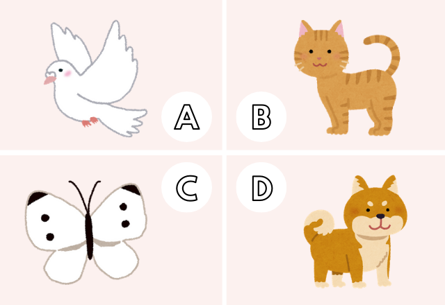 【心理テスト】あなたはどんな人からモテる？診断