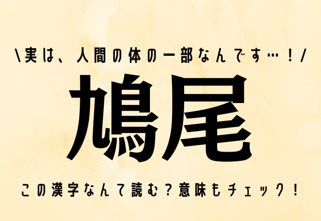 鳥の名前…？【鳩尾】実は、人間の体の一部なんです…！