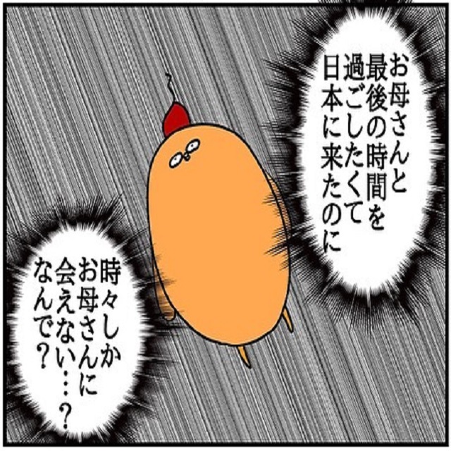 なんで…？！余命わずかな母親と最後の時間を過ごすはずだったのに、夫とドイツへ戻る羽目になり…【ドイツで交際結婚そして国際離婚する話】＜Vol.33＞