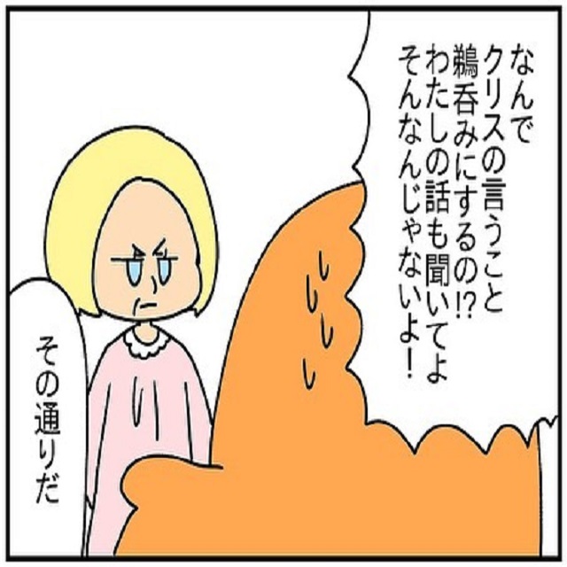 「私の話も聞いて！」義母は夫に言われたことを鵜呑みにしてしまい、私を責めてきて…？！【ドイツで交際結婚そして国際離婚する話】＜Vol.63＞