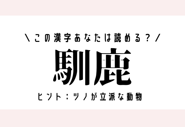 この漢字あなたは読める？【馴鹿】ヒントは「ツノが立派な動物」です！