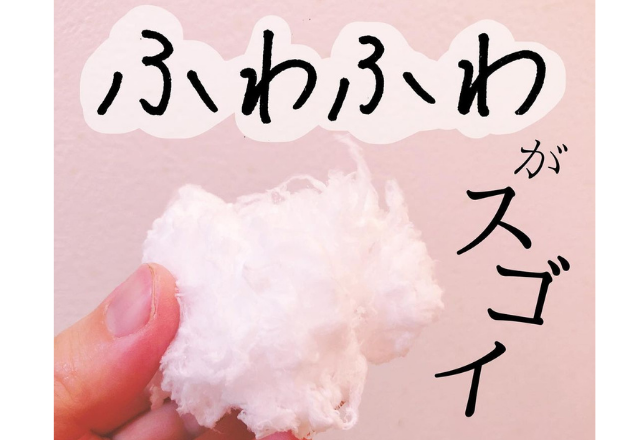 これ何…？！むっちゃ使えるとウワサの“ダイソーマニアおすすめ商品”とは