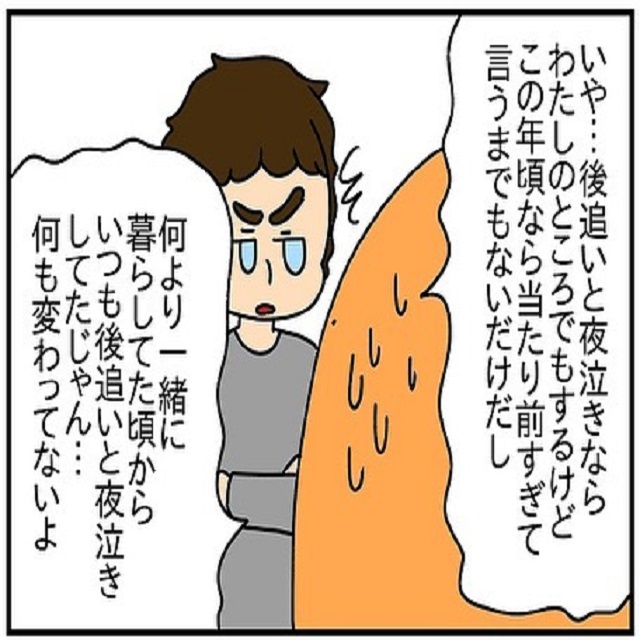 この年頃なら当たり前じゃ…夫は息子の後追いや夜泣きを私のせいにしてきて…？！【ドイツで交際結婚そして国際離婚する話】＜Vol.150＞