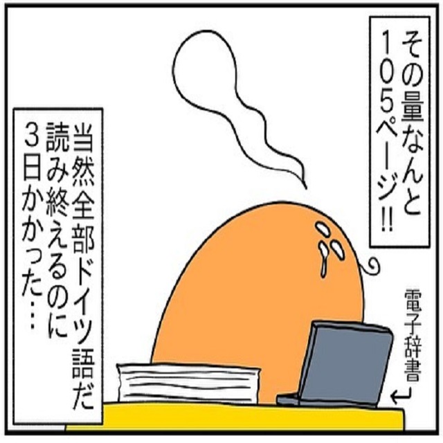 ついにK氏から鑑定結果が！しかし、そのページ数はまさかの105ページかつ当然全部ドイツ語で…？！【ドイツで交際結婚そして国際離婚する話】＜Vol.167＞