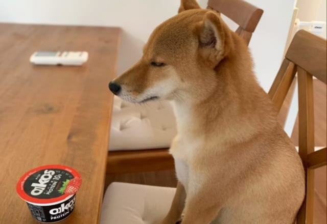 【ほっこり】11万人がいいねした！スプーンを取りに行って席に戻ってみると先客が…？