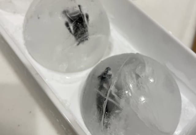 18万人が「真似したい！」お風呂を嫌がる子どもが秒で入るようになったライフハックとは…？