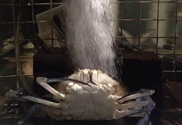 「笑ったw」「漫画でこういうの見た（笑）」2万人が爆笑した「過呼吸のカニ」とは一体…？