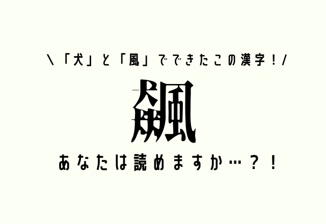 「犬」と「風」でできたこの漢字！【飆】あなたは読めますか…？！