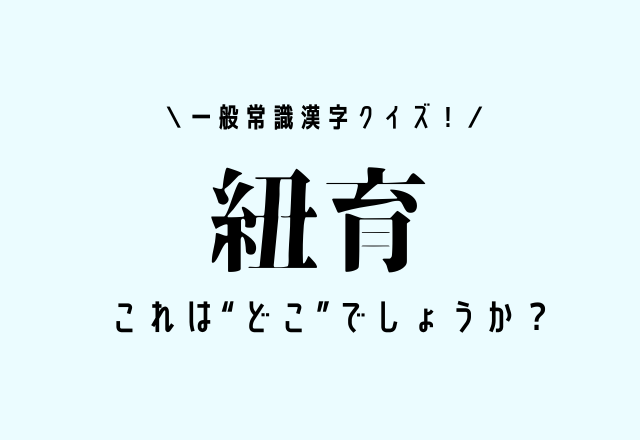 一般常識漢字クイズ！【紐育】分かって当然？！これは“どこ”でしょうか？