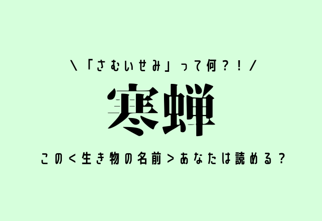 「さむいせみ」って何？！【寒蝉】この＜生き物の名前＞あなたは読める？