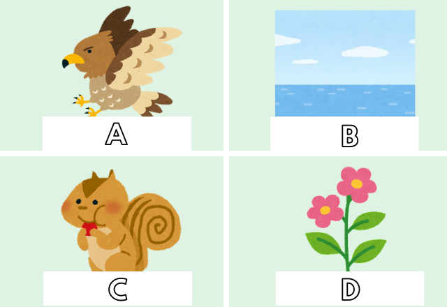 【心理テスト】直感で選んで分かる！あなたが実は苦手なコトとは？