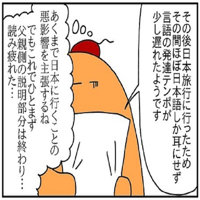 日本に行く事は悪影響…夫は最後の最後まで自分の正当性を主張して…？！【ドイツで交際結婚そして国際離婚する話】＜Vol.177＞