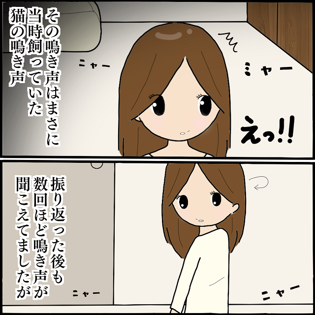 「1話完結」あなたの所にも訪れるかも…？【ほっこりあたたまる猫の不思議な話】