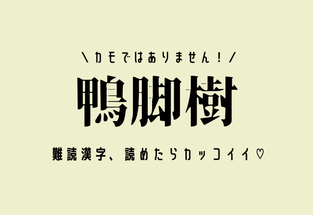カモではありません！【鴨脚樹】難読漢字、読めたらカッコイイ♡