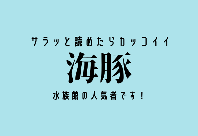 サラッと読めたらカッコイイ【海豚】水族館の人気者です！