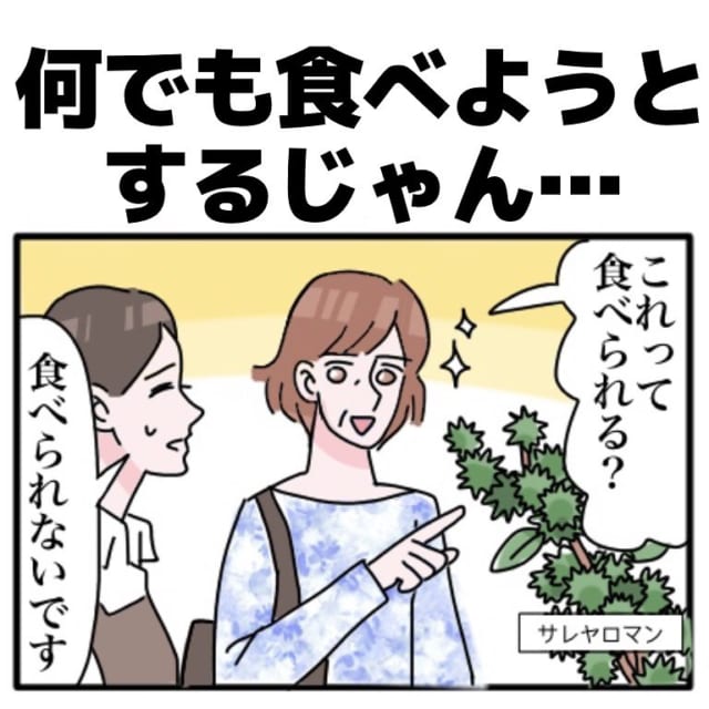 「これって食べられる？」あるお客さんは見る花全て食べようとしていて…！？【お花屋さんが出会った不思議な客の話】