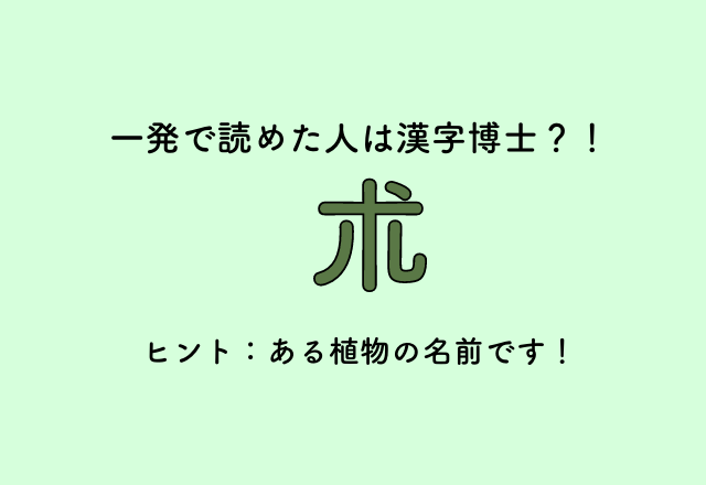 一発で読めた人は漢字博士？！【朮】ヒント：ある植物の名前です！