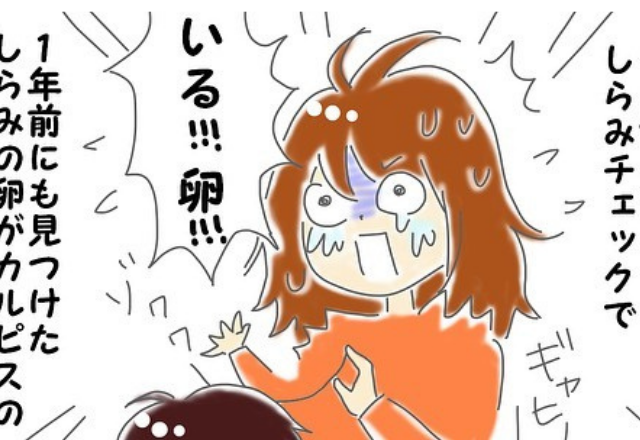 【漫画】「イヤーッ！！」ある日息子の頭にシラミの卵を見つけて…？！