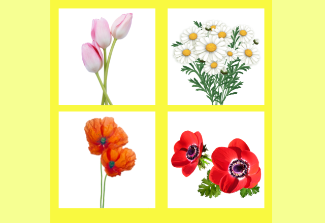 【心理テスト】直観で選んで！あなたの“ネガティブ度”はどのくらい？