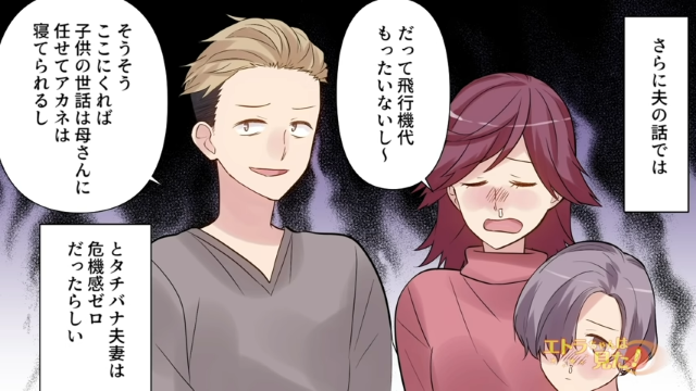 「飛行機代もったいないし～」“インフルエンザ”なのに飛行機に乗った義姉。その『身勝手すぎる理由』に一同唖然…【良識のないエリート夫婦】#3