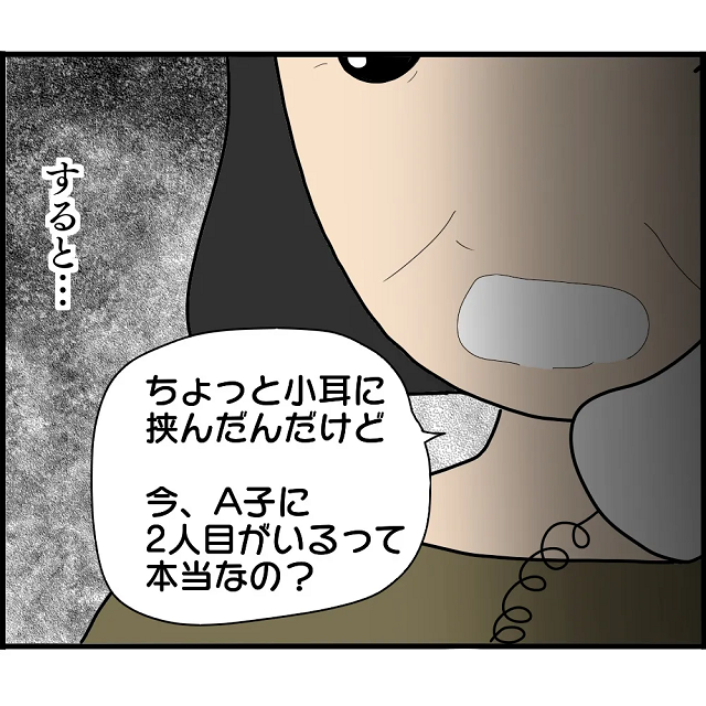「2人目がいるって本当なの？」驚いたA子母。真相を確かめるべく“2年ぶり”に兄に電話すると…【妊娠から暴かれる家族の秘密＃50】