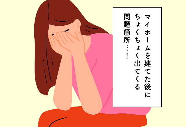 「内見では気づかなかった」購入後に気づく”問題個所”が次々と…【マイホーム購入での後悔】2選