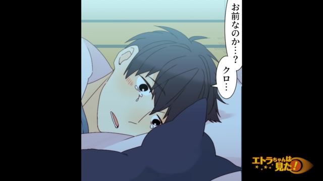 俺に懐き、一緒に眠ろうとする黒猫。その姿が“昔の飼い猫”と重なり涙があふれ…【旅先で見覚えのある猫と出会った話＃12】