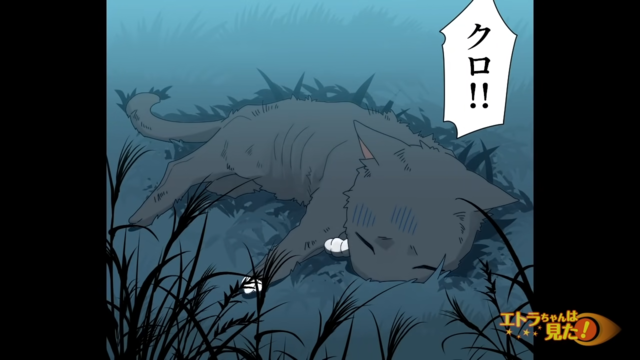 突然姿を消した“黒猫”。しかし鳴き声が聞こえて草むらを探すと“怪我”をした猫が見つかり…【旅先で見覚えのある猫と出会った話＃6】