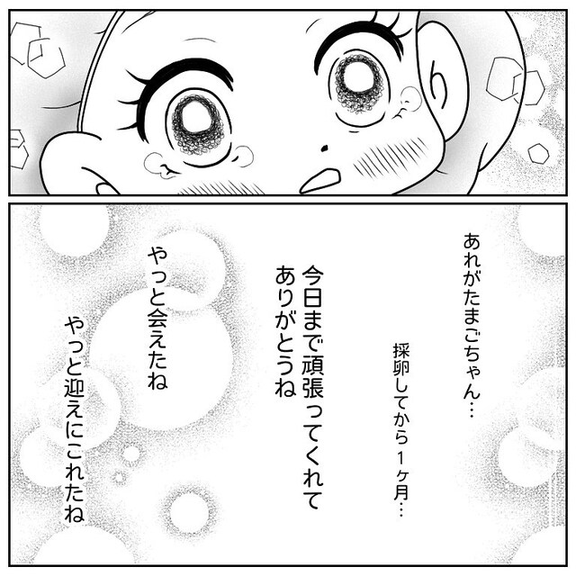 顕微受精後に“移植”した私。採卵から1ヶ月経ちやっと移植できることに“感動”し…【40歳で妊活始めました＃77】