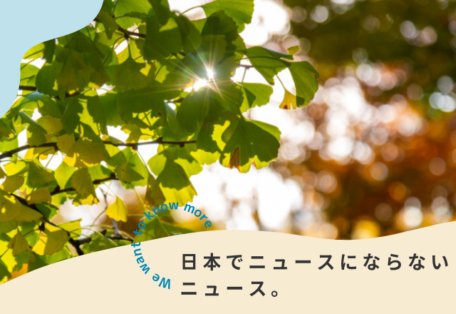 なぜ現状の神宮外苑再開発事業を止めるべきなのか『日本でニュースにならないニュース。』