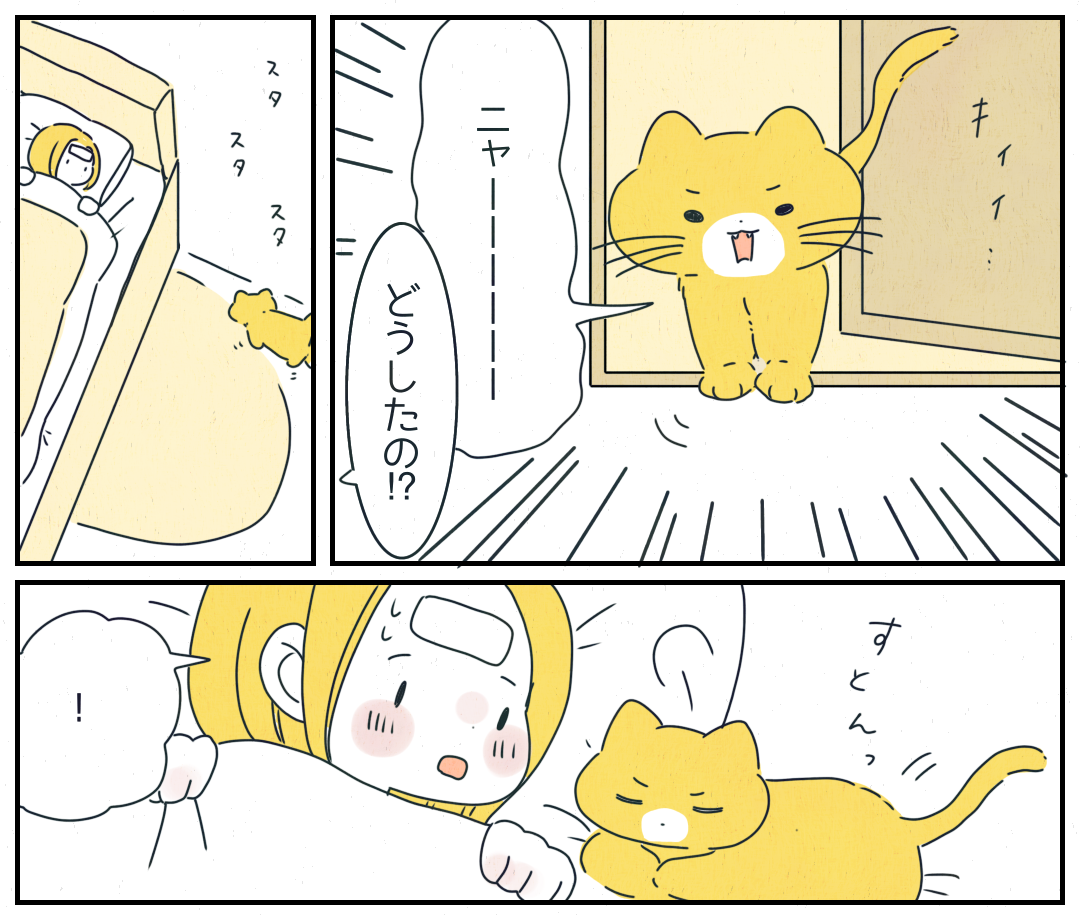 「飼い主の愛情が返ってきた瞬間」普段スキンシップが苦手な愛猫。病気で寝込んだ家族への”思いがけない行動”とは