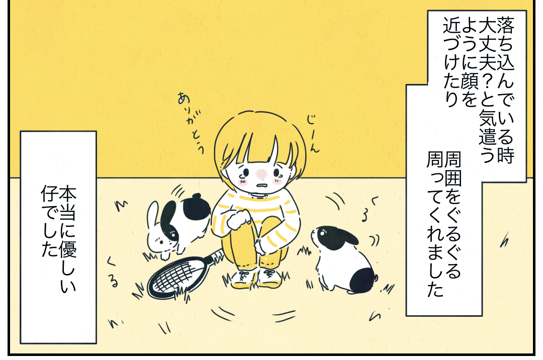 妹に怪我をさせてしまい落ち込んでいると→ペットのうさぎに感動【ペットとの不思議な体験】