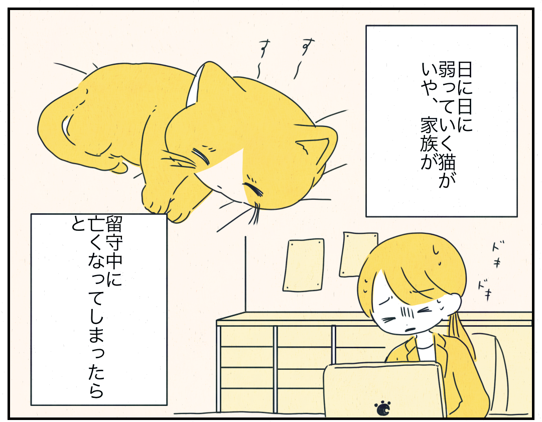余命宣告を受けた愛猫。家族を待つ”けなげな姿”に読者から反響の声!「大切に育ててくれた家族に挨拶したかったのかな」