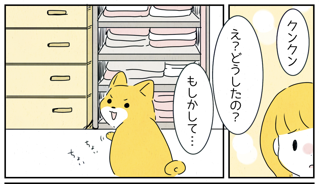 「賢い!」夫から預かった封筒をなくしてしまった私。飼い犬の”驚くべき行動”に賞賛の嵐!