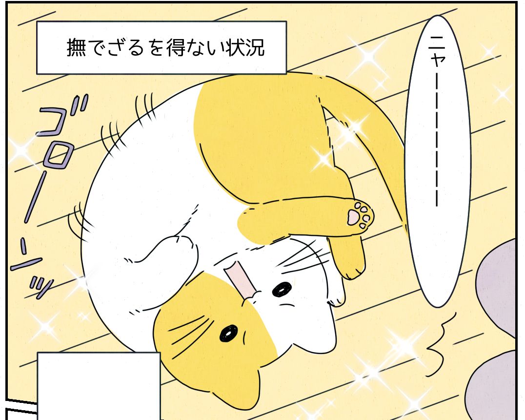 仕事で落ち込んで帰宅した私。”元気をくれた”飼い猫の可愛い行動とは「癒してあげようという気持ちがうれしい……。」