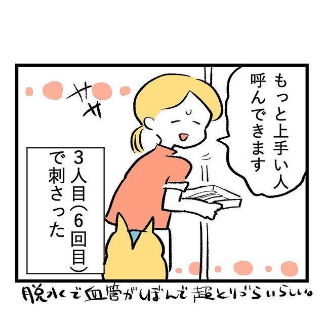 『6回目で刺さった』産院での点滴で何度も失敗され…【重症妊娠悪阻の話＃17】