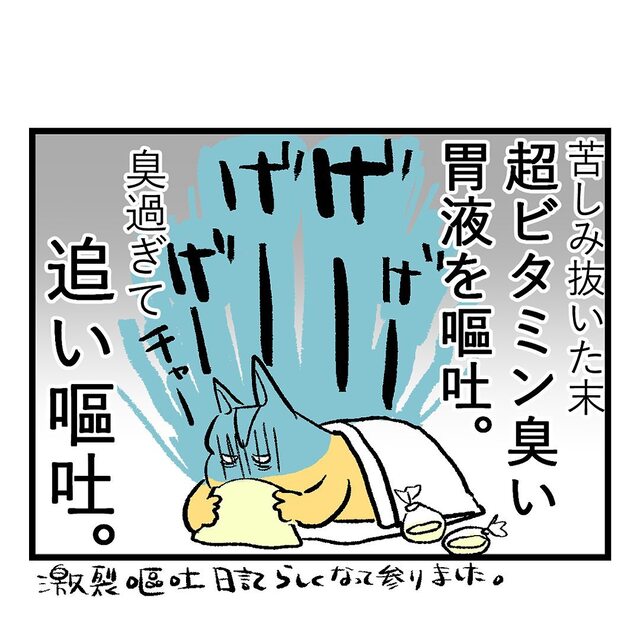 「なにくそ」無理やりビタミン剤を摂取。さらに“吐き気”が増幅し…【重症妊娠悪阻の話＃22】