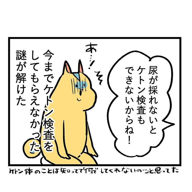 【緊急】産院から帰宅後、大学病院へ。すぐに“尿検査”をすることに…【重症妊娠悪阻の話＃53】