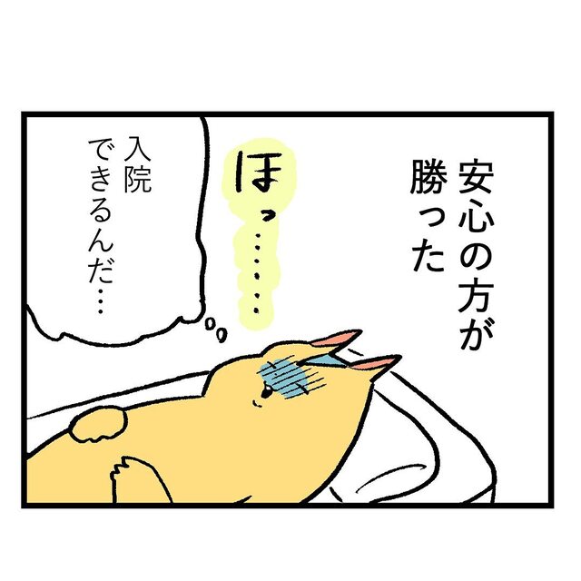 大学病院の医師の診察で『入院』できることに。とりあえず一安心し…【重症妊娠悪阻の話＃55】