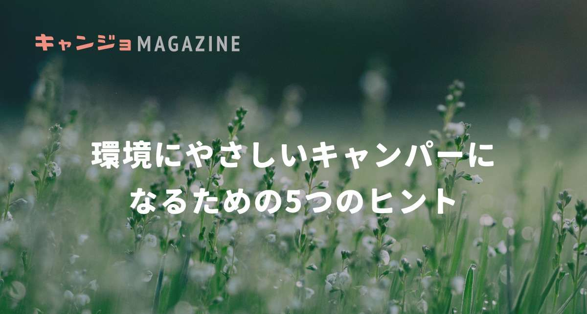 キャンプブームの裏で…『環境にやさしいキャンパー』になるための5つのヒント