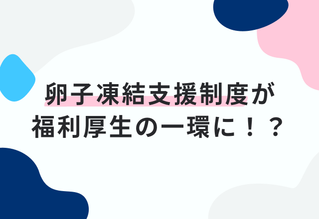 『卵子凍結支援制度』を福利厚生の一環として導入！＜株式会社WEIN Group＞
